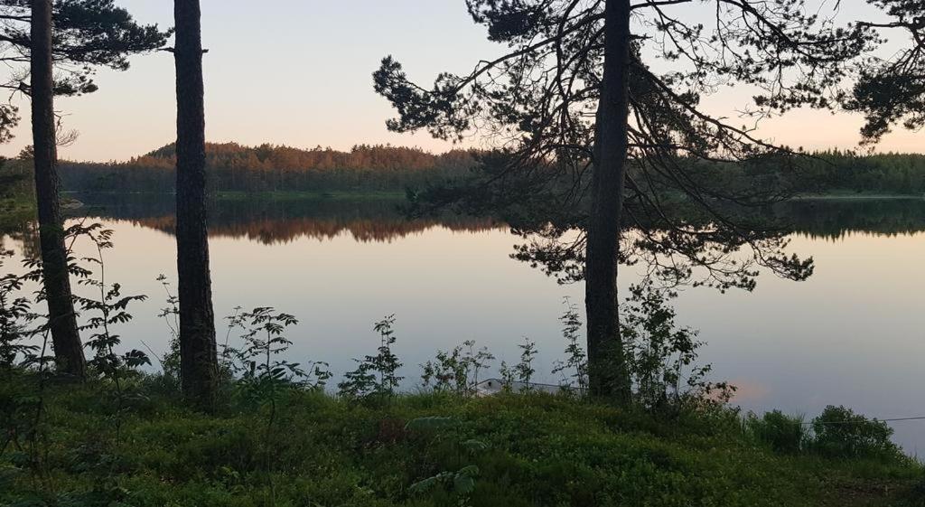 Cabin In The Woods, Lolandsvannet Near Kristiansand Vennesla Exteriör bild