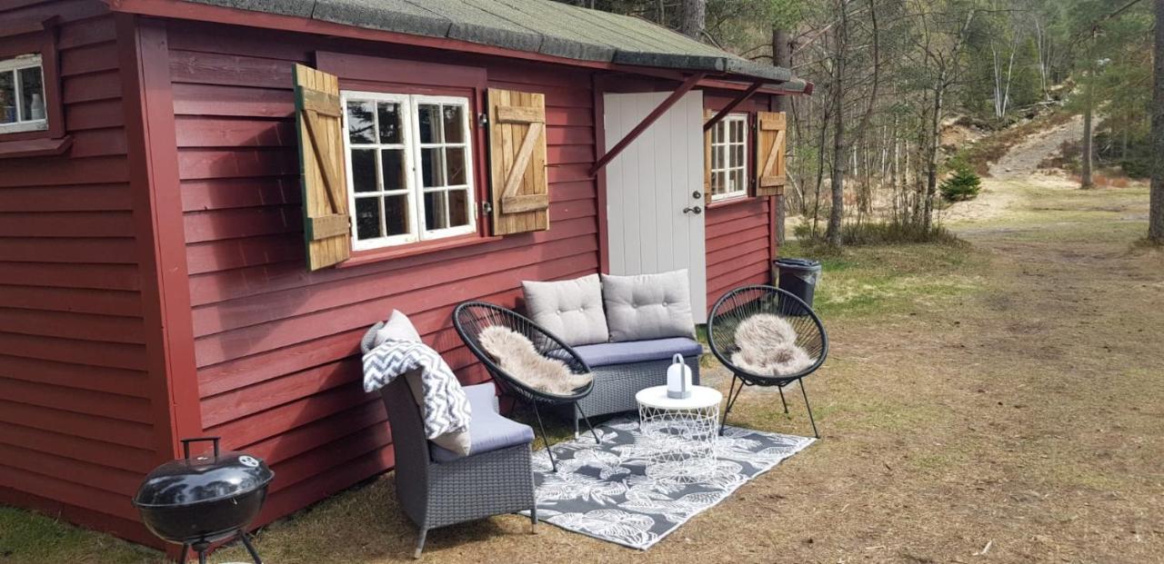 Cabin In The Woods, Lolandsvannet Near Kristiansand Vennesla Exteriör bild