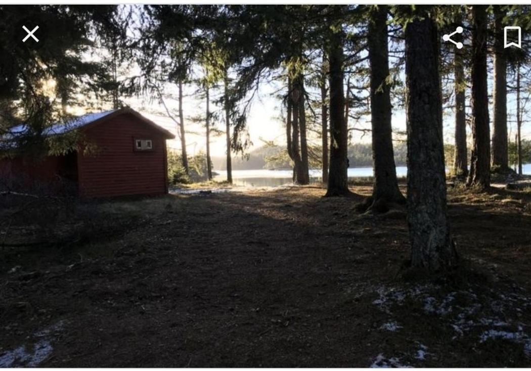 Cabin In The Woods, Lolandsvannet Near Kristiansand Vennesla Exteriör bild